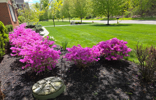 Grinder Pump Installation Cost in New York: What Capital Region Homeowners Actually Pay